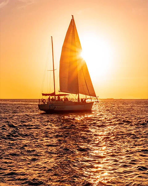 vela-portuguese